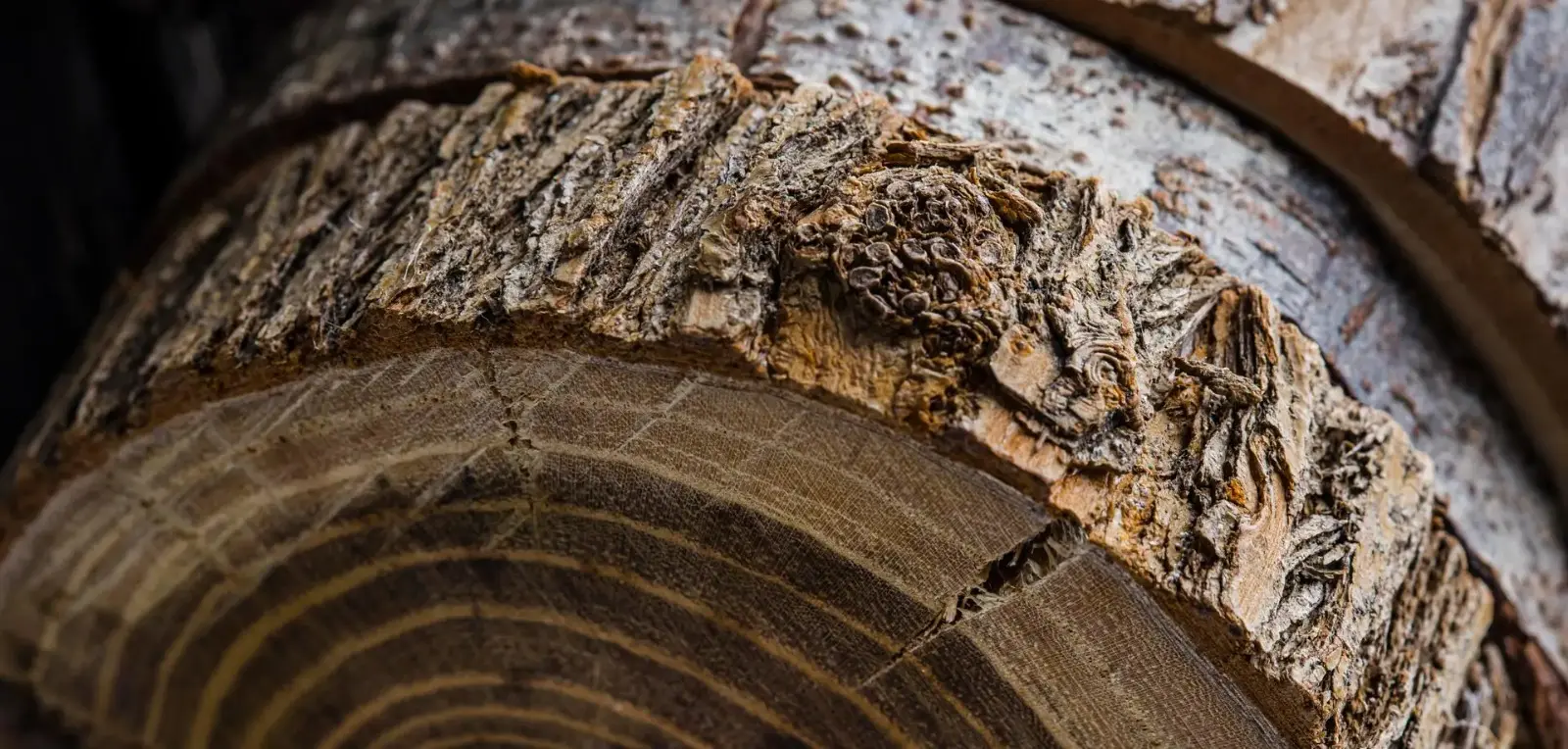 Spruce poles with bark 3-7 cm